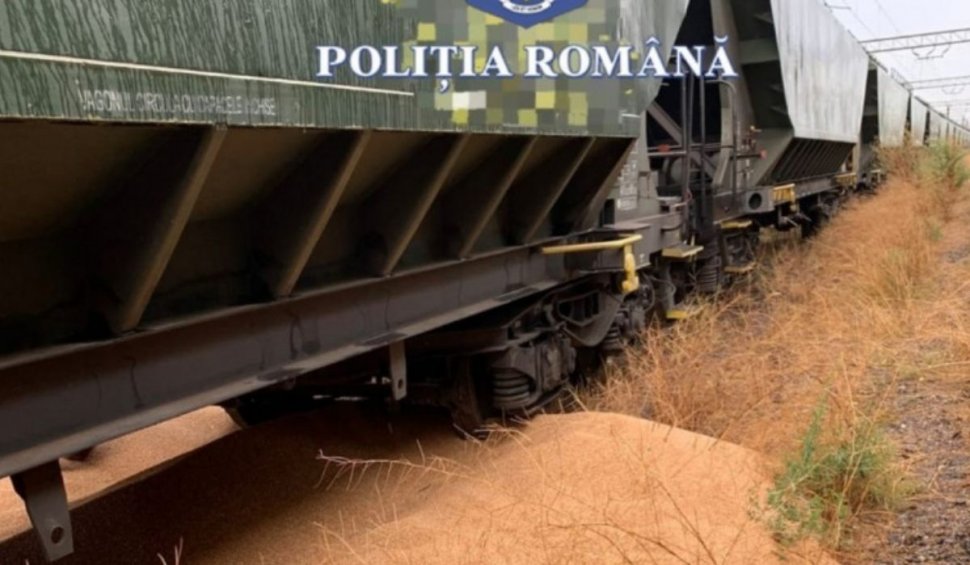 Doi bărbați din Constanța au furat 500 de kilograme de grâu dintr-un marfar, dar au risipit 10 tone
