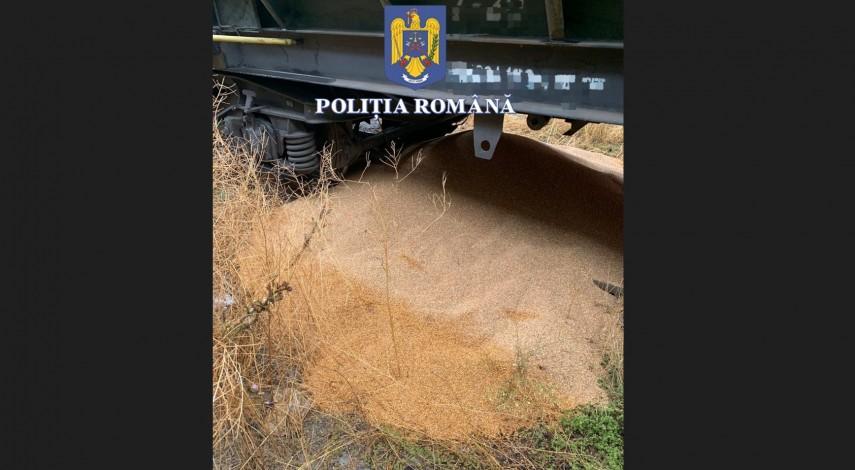 Doi bărbați din Constanța au furat 500 de kilograme de grâu dintr-un marfar, dar au risipit 10 tone 849521