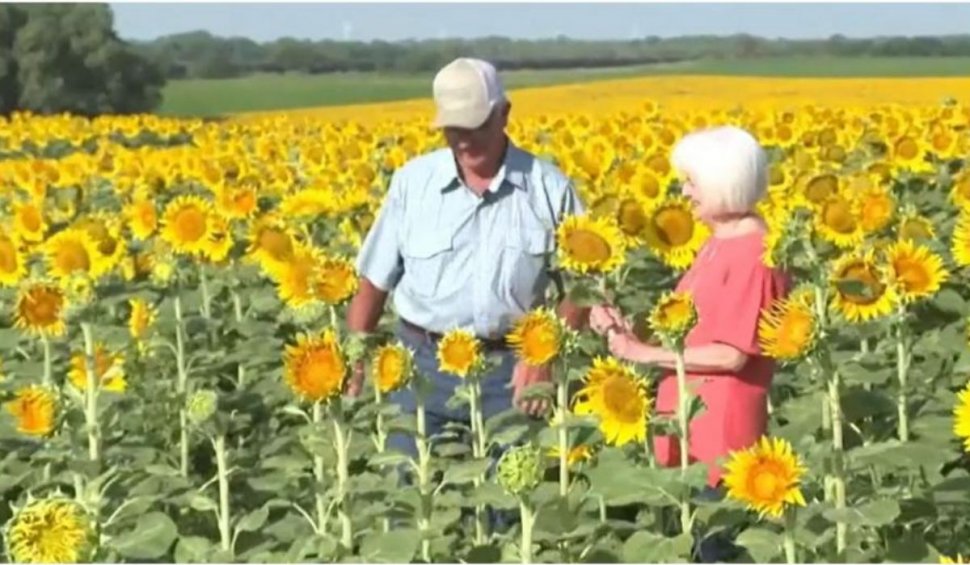 Bărbatul care a plantat peste un milion de flori pentru a-și surprinde soția: "M-a făcut să mă simt foarte specială"