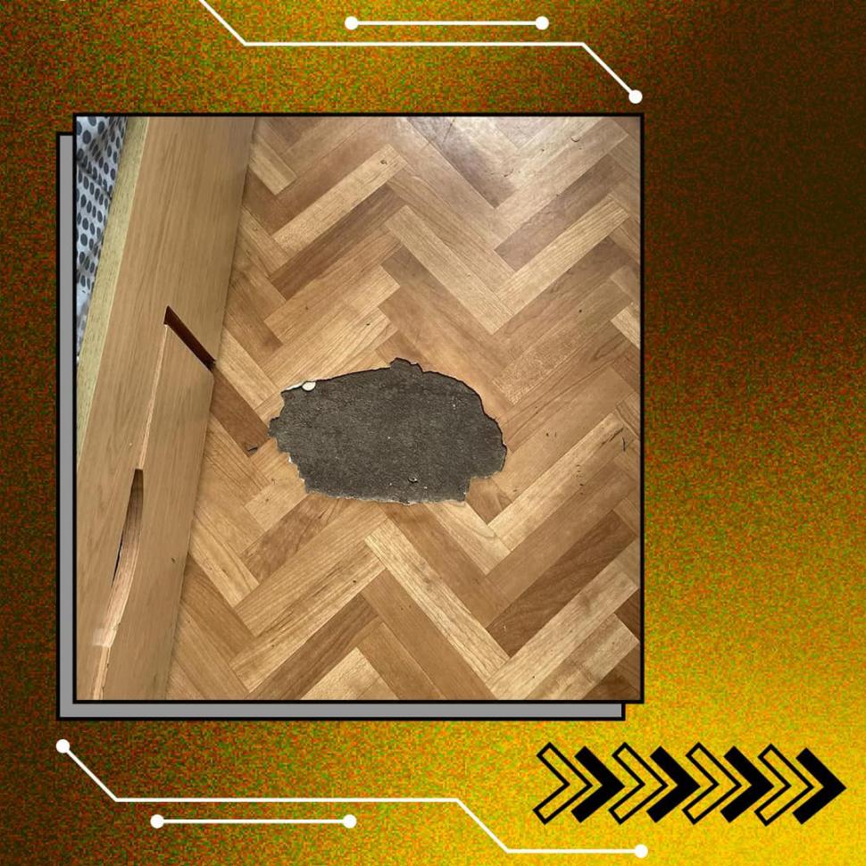 Dezastru în ”Căminele Groazei” ale Universității din București: Gândaci, mucegai, garduri rupte, personal dezinteresat | Studenții cer măsuri sporite de siguranță 849845