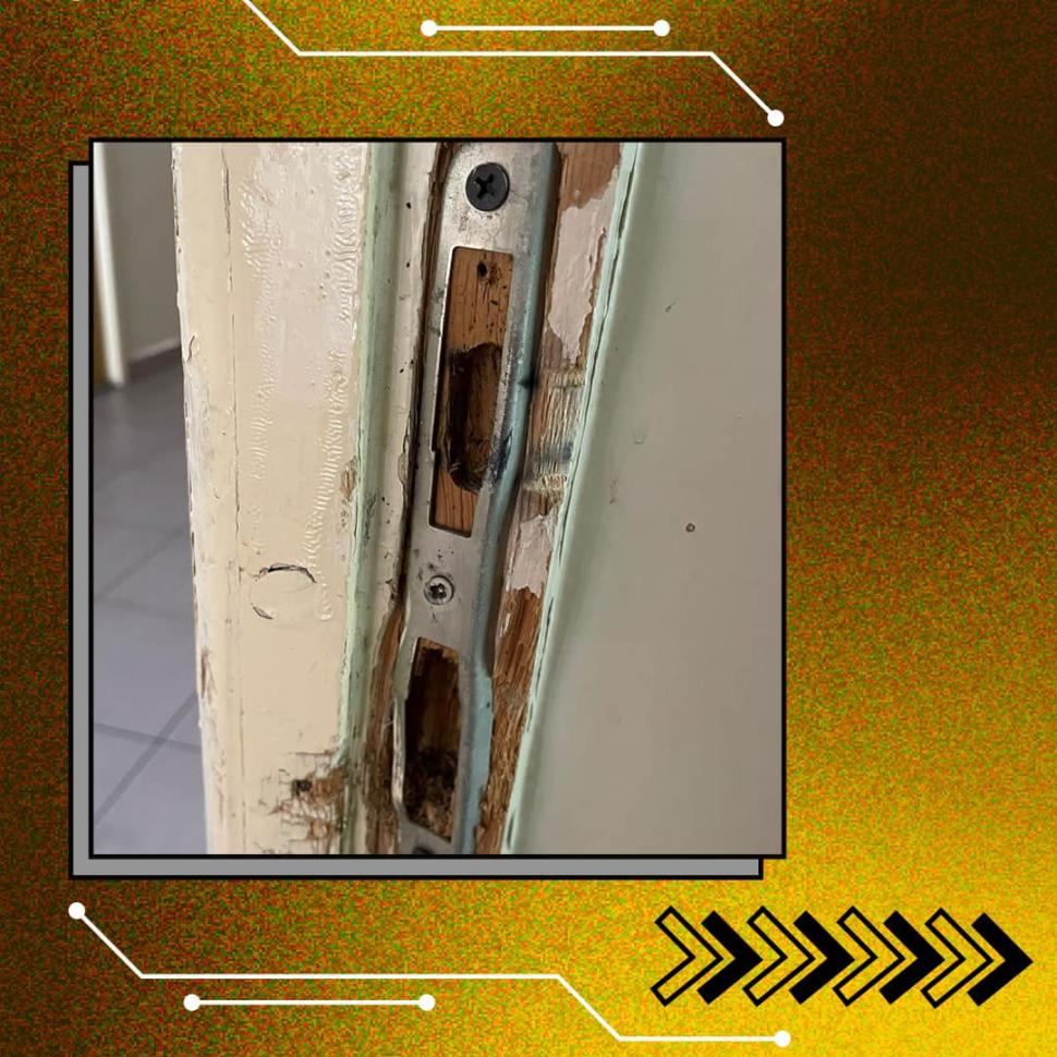 Dezastru în ”Căminele Groazei” ale Universității din București: Gândaci, mucegai, garduri rupte, personal dezinteresat | Studenții cer măsuri sporite de siguranță 849846