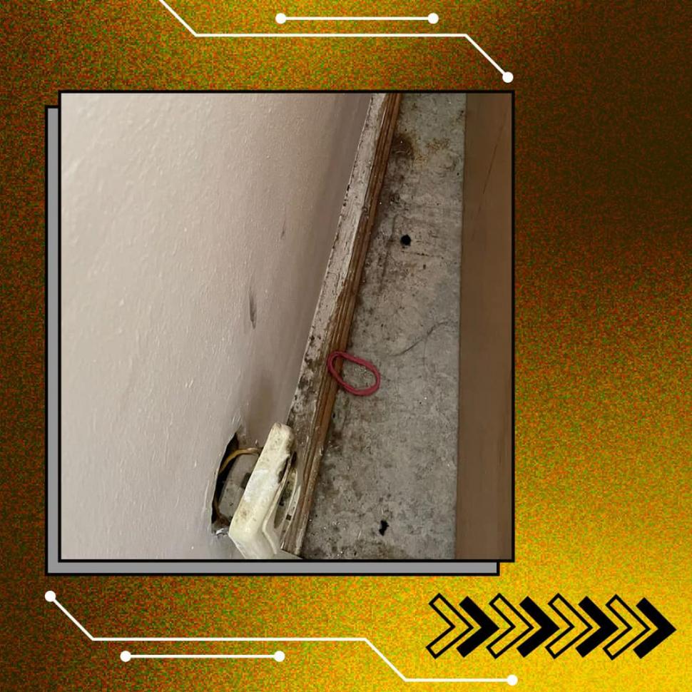 Dezastru în ”Căminele Groazei” ale Universității din București: Gândaci, mucegai, garduri rupte, personal dezinteresat | Studenții cer măsuri sporite de siguranță 849848