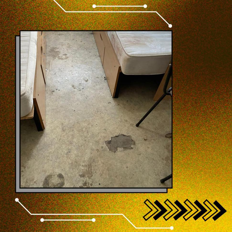 Dezastru în ”Căminele Groazei” ale Universității din București: Gândaci, mucegai, garduri rupte, personal dezinteresat | Studenții cer măsuri sporite de siguranță 849849