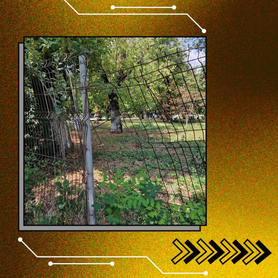 Dezastru în ”Căminele Groazei” ale Universității din București: Gândaci, mucegai, garduri rupte, personal dezinteresat | Studenții cer măsuri sporite de siguranță 849850