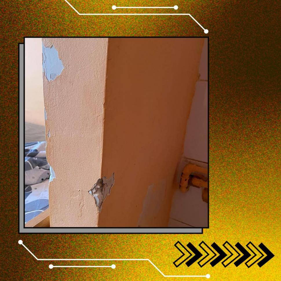 Dezastru în ”Căminele Groazei” ale Universității din București: Gândaci, mucegai, garduri rupte, personal dezinteresat | Studenții cer măsuri sporite de siguranță 849851