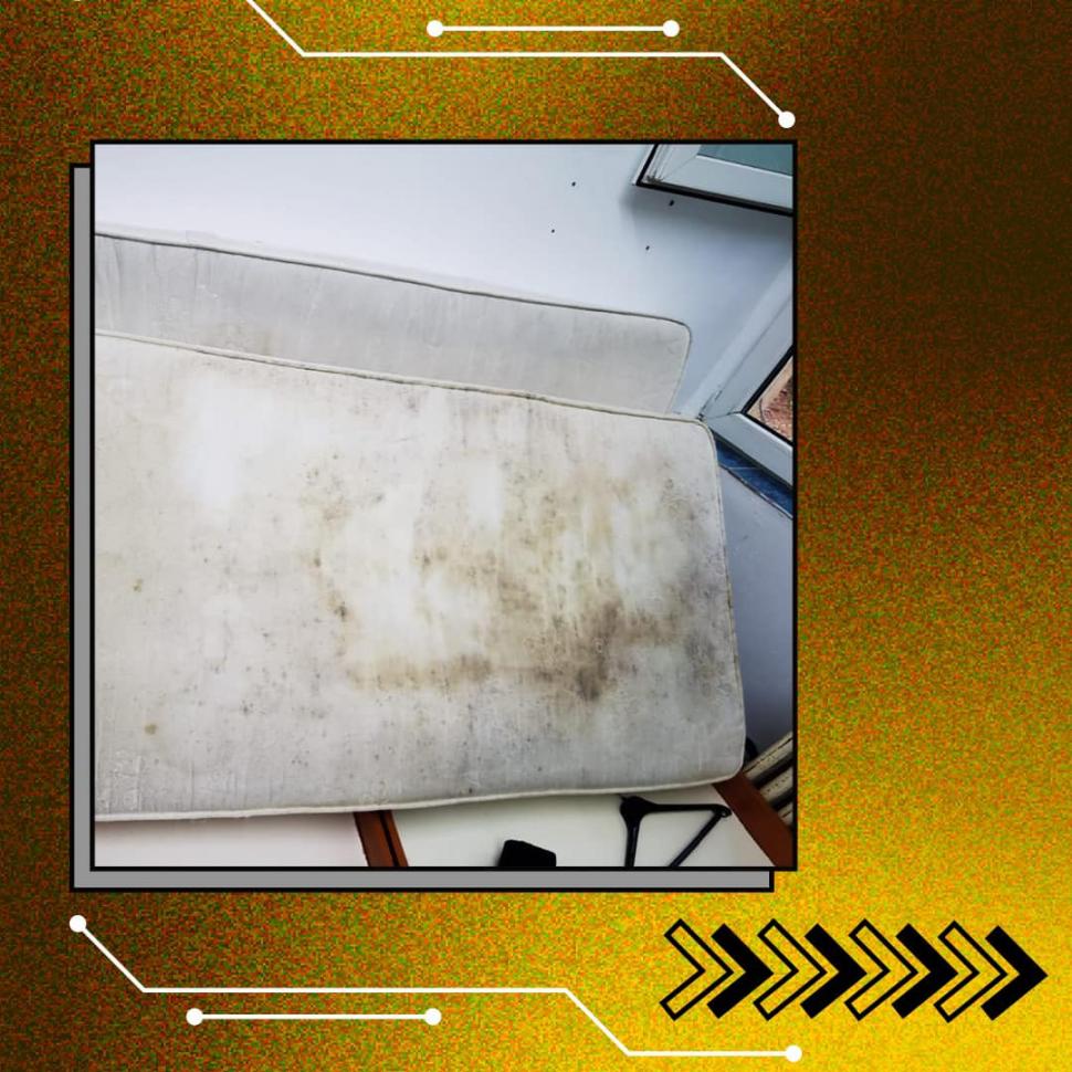 Dezastru în ”Căminele Groazei” ale Universității din București: Gândaci, mucegai, garduri rupte, personal dezinteresat | Studenții cer măsuri sporite de siguranță 849852