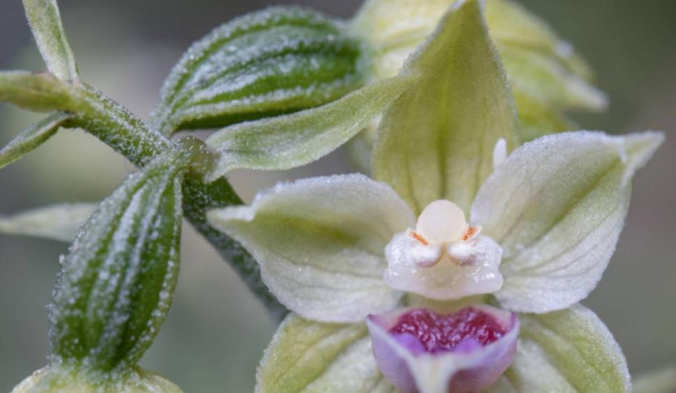 Descoperire fermecătoare în Munții Bucegi! Mulți români nu știau că există și la noi în țară 849769