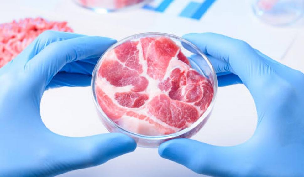 Alimente care îngraşă cel mai tare. Medic: "Se multiplică de trei ori mai mult celulele grase, au efecte diferite" 850318