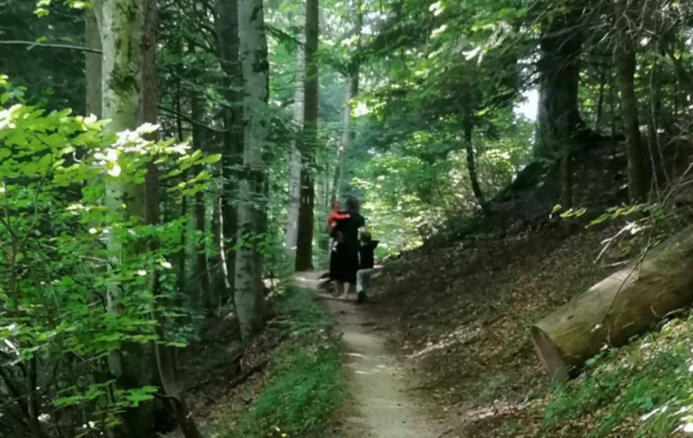 O femeie cu doi copii și un cărucior s-a aventurat pe un traseu de pe Masivul Postăvaru