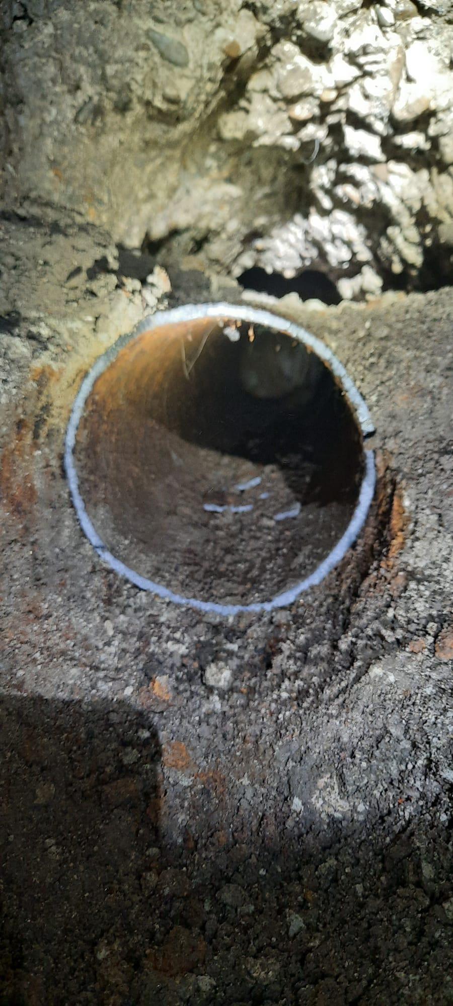 "Scheunatul răsuna din ce în ce mai tare. Bietul animal cerea ajutor!". Un pui de cățel a fost salvat de pompieri, după ce s-a blocat într-o țeavă de scurgere de 15 cm 850414