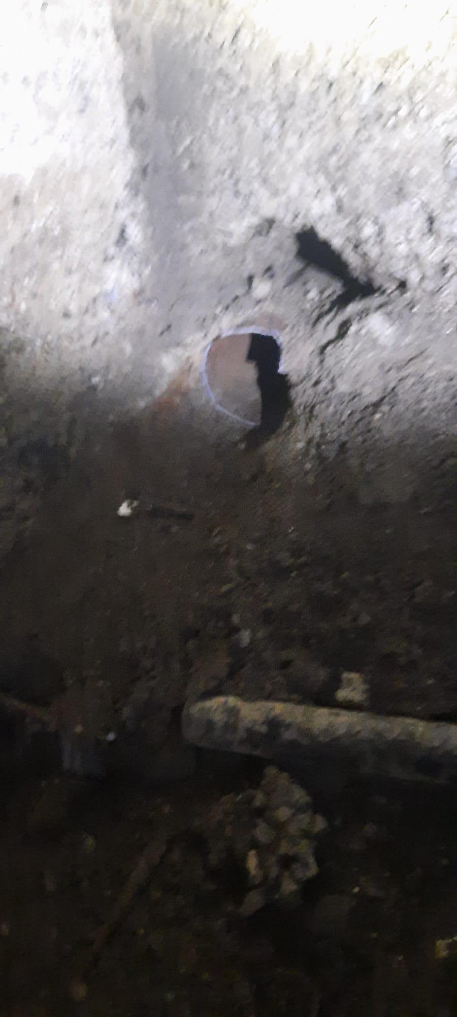 "Scheunatul răsuna din ce în ce mai tare. Bietul animal cerea ajutor!". Un pui de cățel a fost salvat de pompieri, după ce s-a blocat într-o țeavă de scurgere de 15 cm 850418