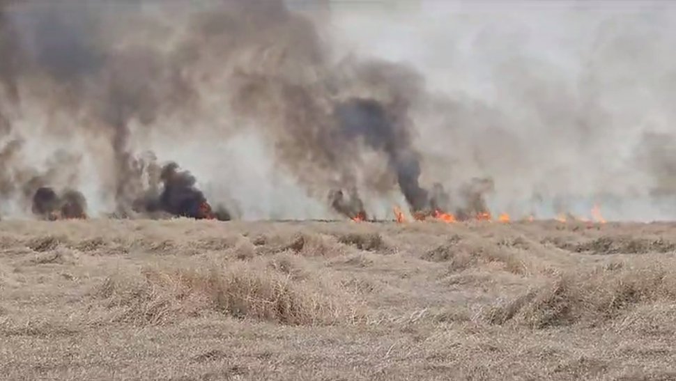 Zeci de hectare de teren agricol ard în Satu Mare. Mai multe autospeciale intervin