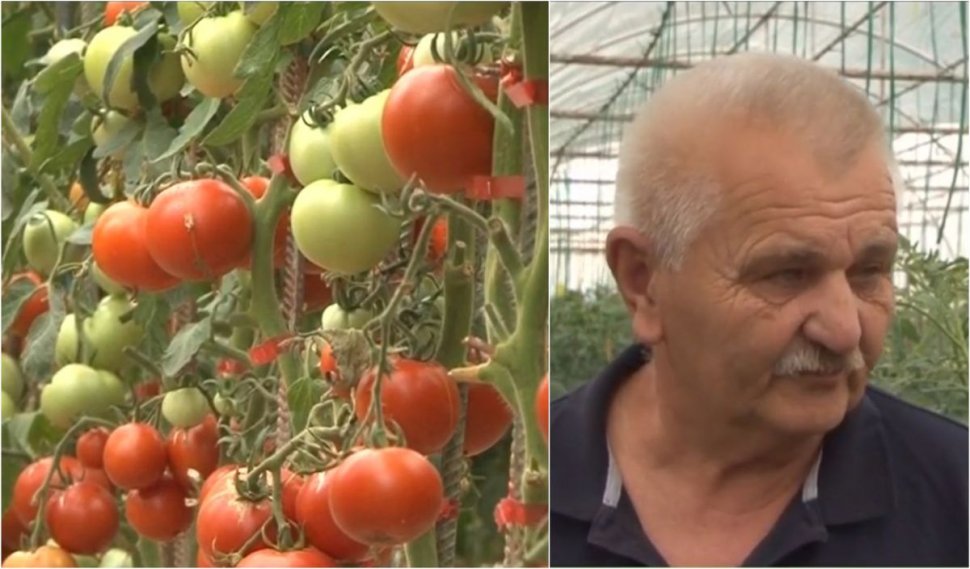 Un fermier român vinde legumele bio cu 60% mai ieftin decât în magazine. "Ele cresc într-un pământ care nu a văzut de vreo 30 de ani chimicale"