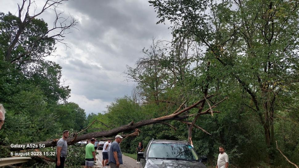 Străzi inundate, copaci căzuți și stâlpi de electricitate puși la pământ de vântul puternic. Furtunile au făcut prăpăd în peste 50 de localități din 13 județe 850888