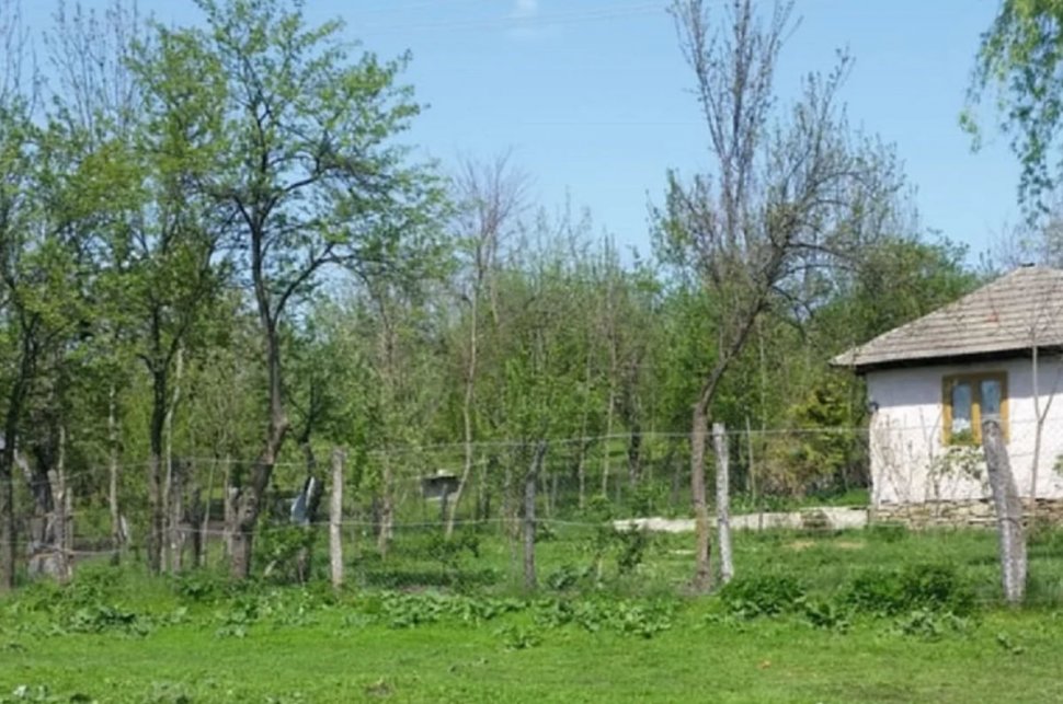 Satul din România unde mai trăiește un singur om. Nea Ion merge pe jos 6 kilometri ca să îşi ia pâine