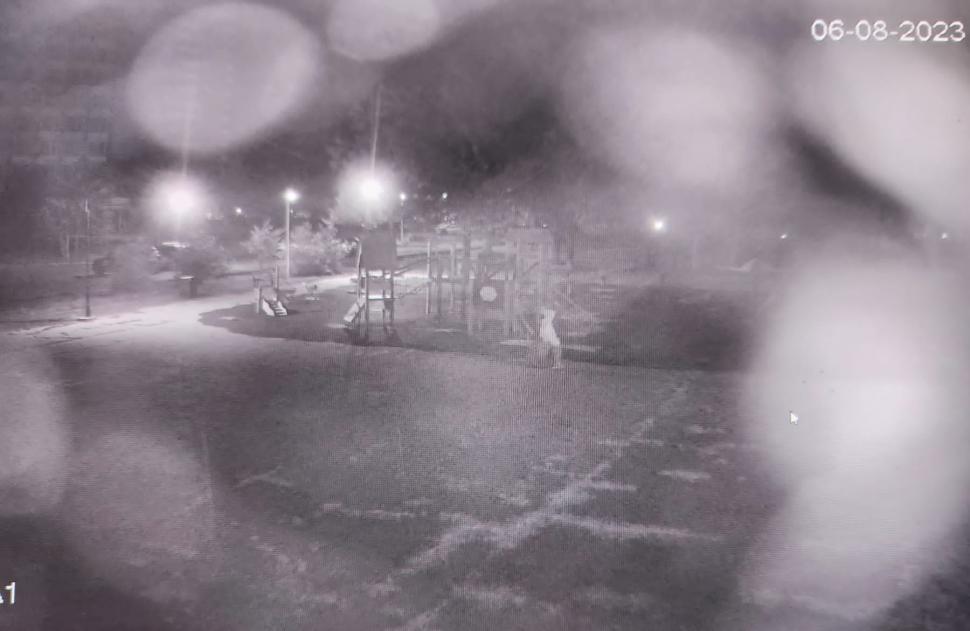 Loredana a povestit în detaliu cum a ucis-o pe Alina, în hotelul din Mangalia: "Inițial, am ezitat, însă după aceea am înjunghiat-o" 851520