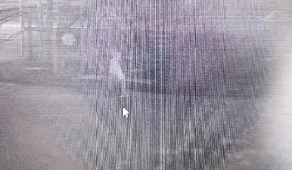 Loredana a povestit în detaliu cum a ucis-o pe Alina, în hotelul din Mangalia: "Inițial, am ezitat, însă după aceea am înjunghiat-o" 851521