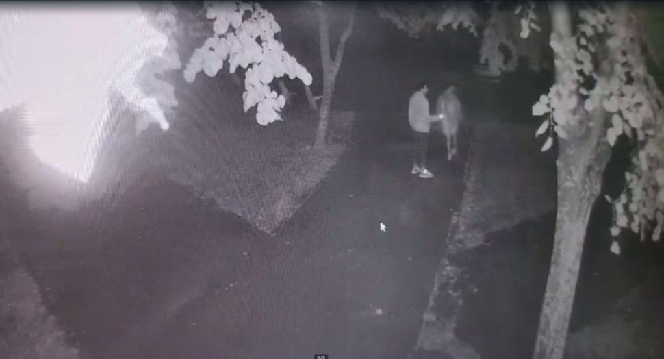 Doi tineri au fost filmați în parcul din Mangalia, la scurt timp după ce criminala a aruncat cadavrul Alinei sub o bancă 851547