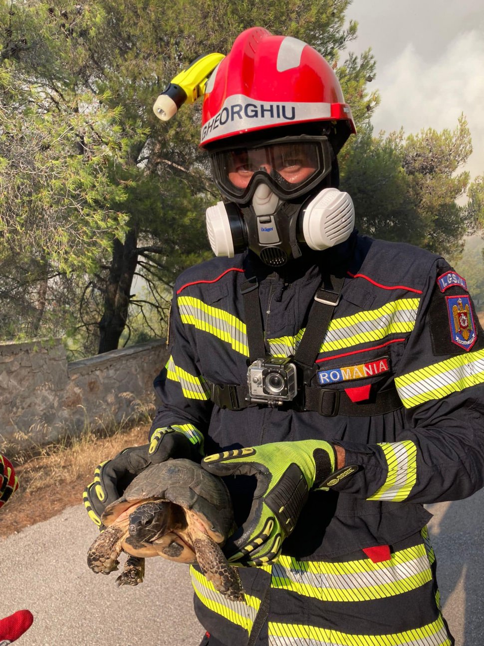 Aeronave ale Forţelor Aeriene Române vor transporta pompieri români în insula Corsica | Misiune de stingere a incendiilor de pădure