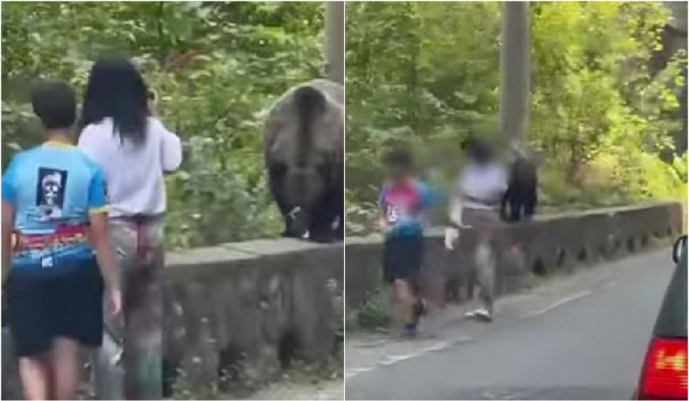 Scene la limita irealului și a tragediei | Momentul în care o mamă își duce fiul să hrănească un urs pe Transfăgărășan  853457