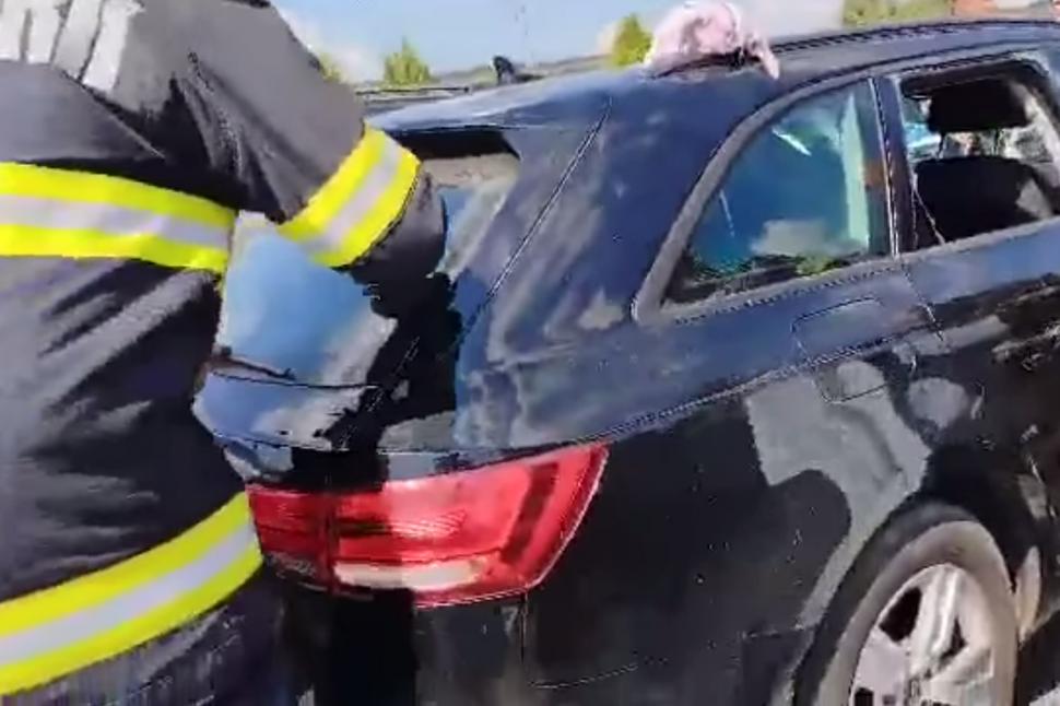 "Nu mi-am dat seama că sunt 50 de grade în mașină" Un câine a murit după ce stăpânul l-a lăsat în maşină, pe caniculă, şi s-a dus la mall, în Cluj-Napoca  853598