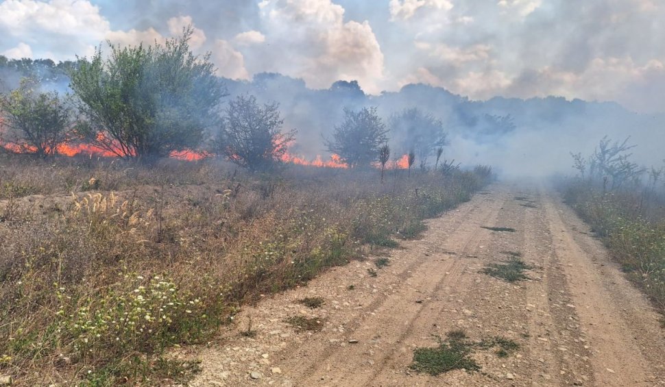 Incendiu uriaş în zona Băneasa din Bucureşti | ISU Bucureşti-Ilfov intervine cu zeci de pompieri