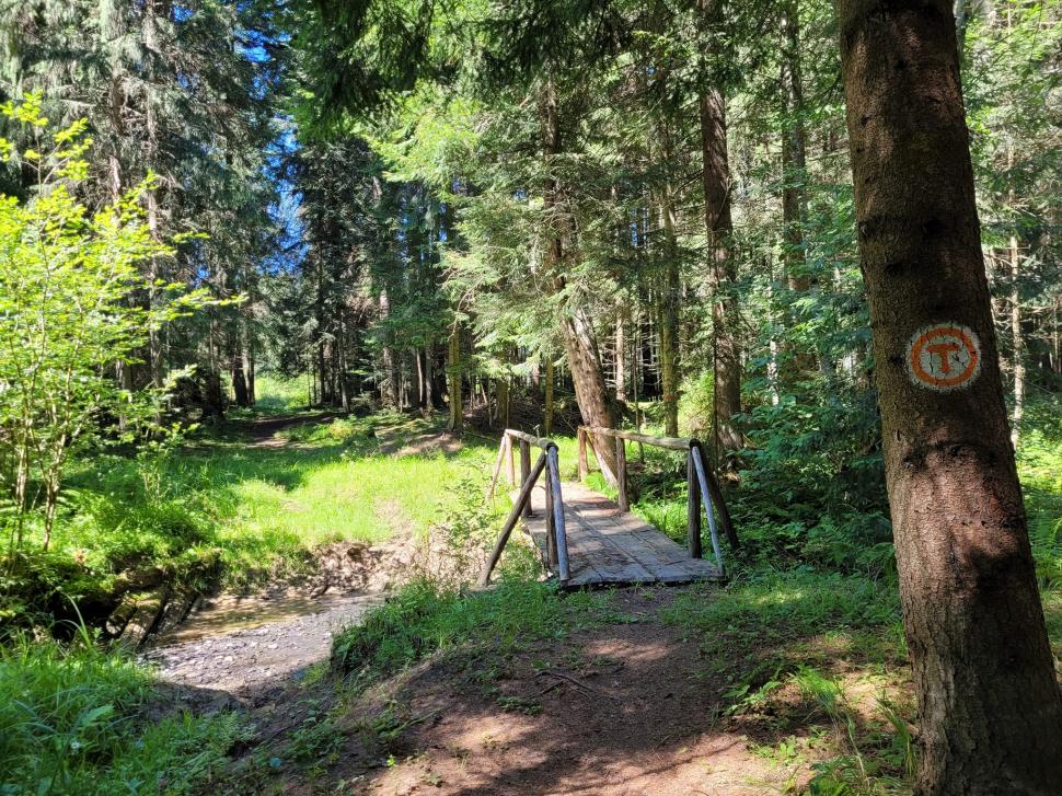 Traseul Via Transilvanica, parcurs cu bicicleta pe 1.400 de kilometri 853559