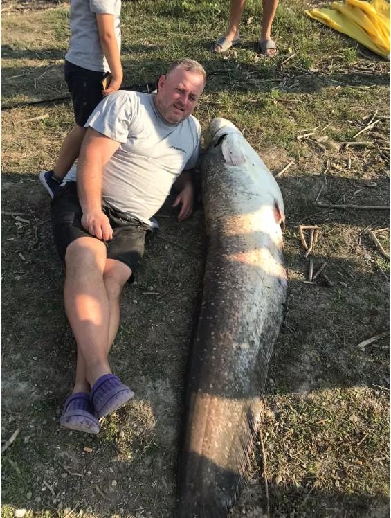 "Este un sentiment unic" | Somn de 70 de kilograme, prins de un botoşănean în apele Prutului 853987