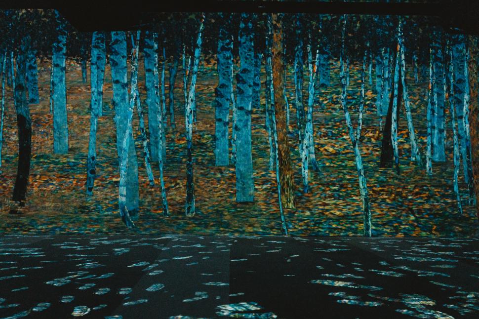 Imagini spectaculoase de la primul muzeu imersiv din România, gata să îşi primească vizitatorii în acest weekend la Bucureşti 853892