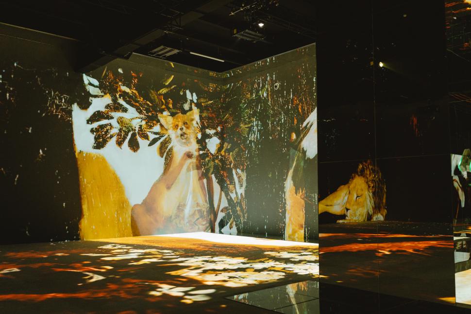 Imagini spectaculoase de la primul muzeu imersiv din România, gata să îşi primească vizitatorii în acest weekend la Bucureşti 853899