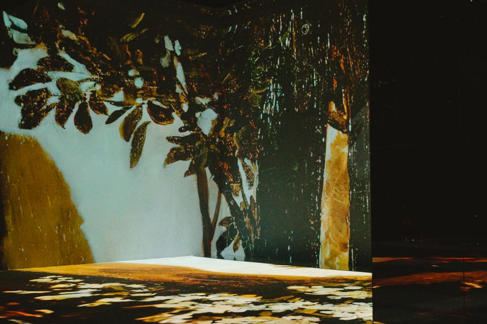 Imagini spectaculoase de la primul muzeu imersiv din România, gata să îşi primească vizitatorii în acest weekend la Bucureşti 853900