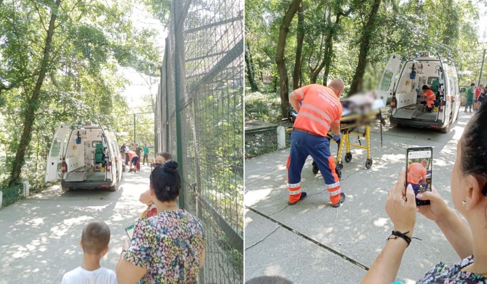 Bărbat atacat de un tigru, la Grădina Zoologică din Bârlad