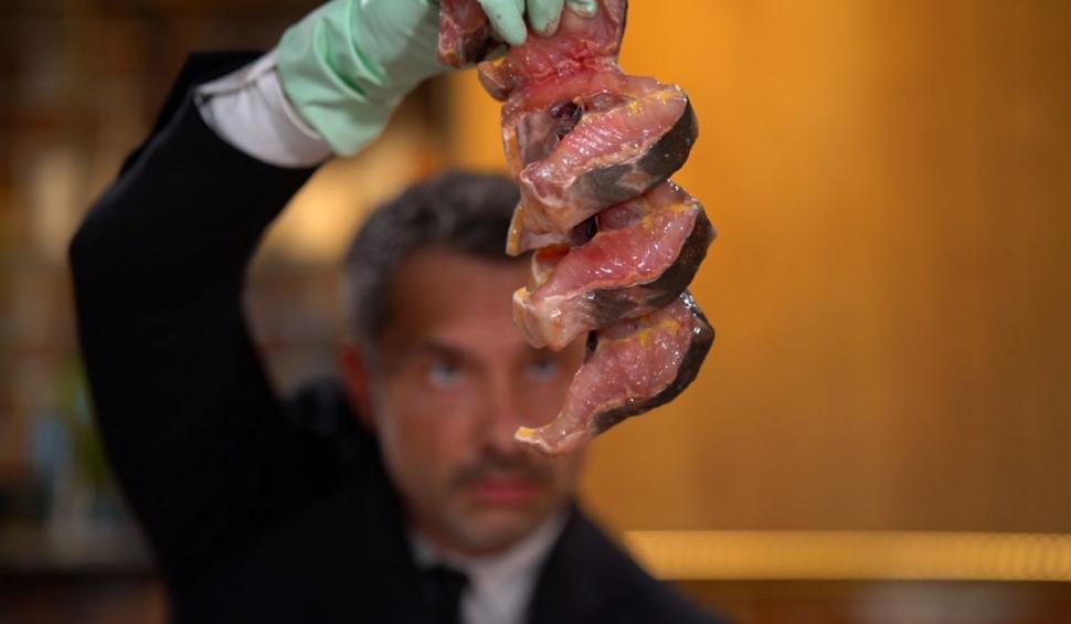 "Gătit la costum" revine la Antena 3 CNN cu un nou sezon. Ştefan Lungu deschide porţile unei noi aventuri culinare pline de savoare 855317