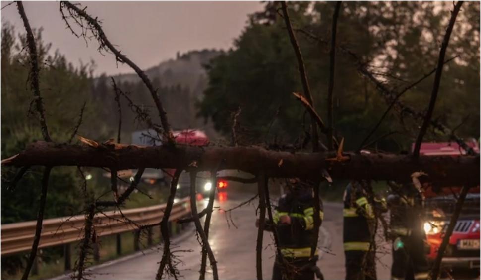 Fenomenele meteo extreme au făcut ravagii în mai multe judeţe din ţară. Acoperişuri smulse, copaci căzuţi, maşini distruse 855265