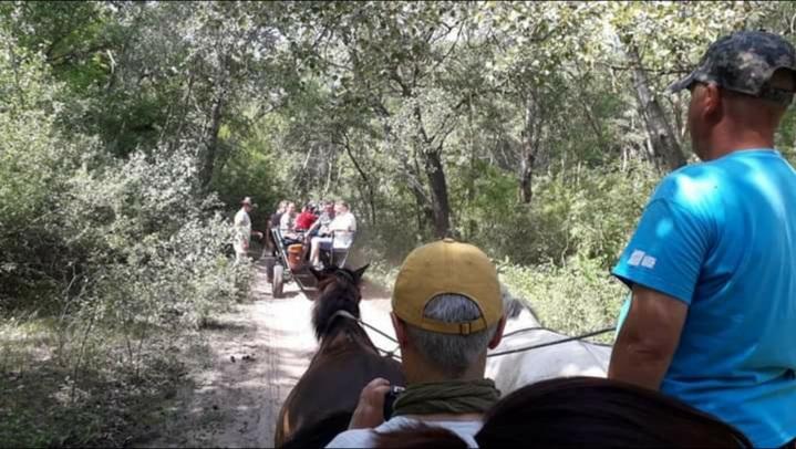 Letea, muzeul viu dintre ape  855573