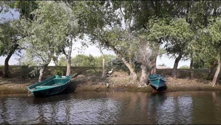 Letea, muzeul viu dintre ape  855574