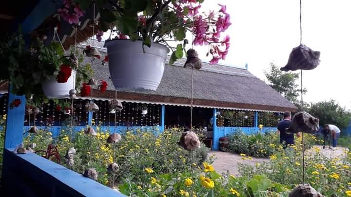 Letea, muzeul viu dintre ape  855576