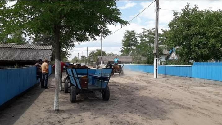 Letea, muzeul viu dintre ape  855577