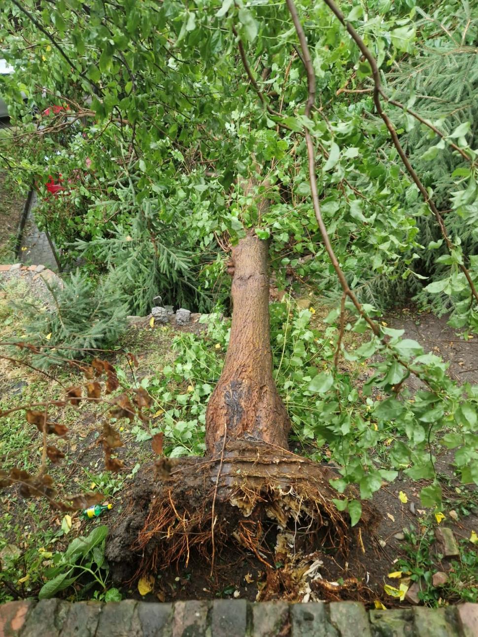 Vijeliile au făcut prăpăd în mai multe zone din ţară. Bucureştiul, blocat din cauza inundaţiilor 855478