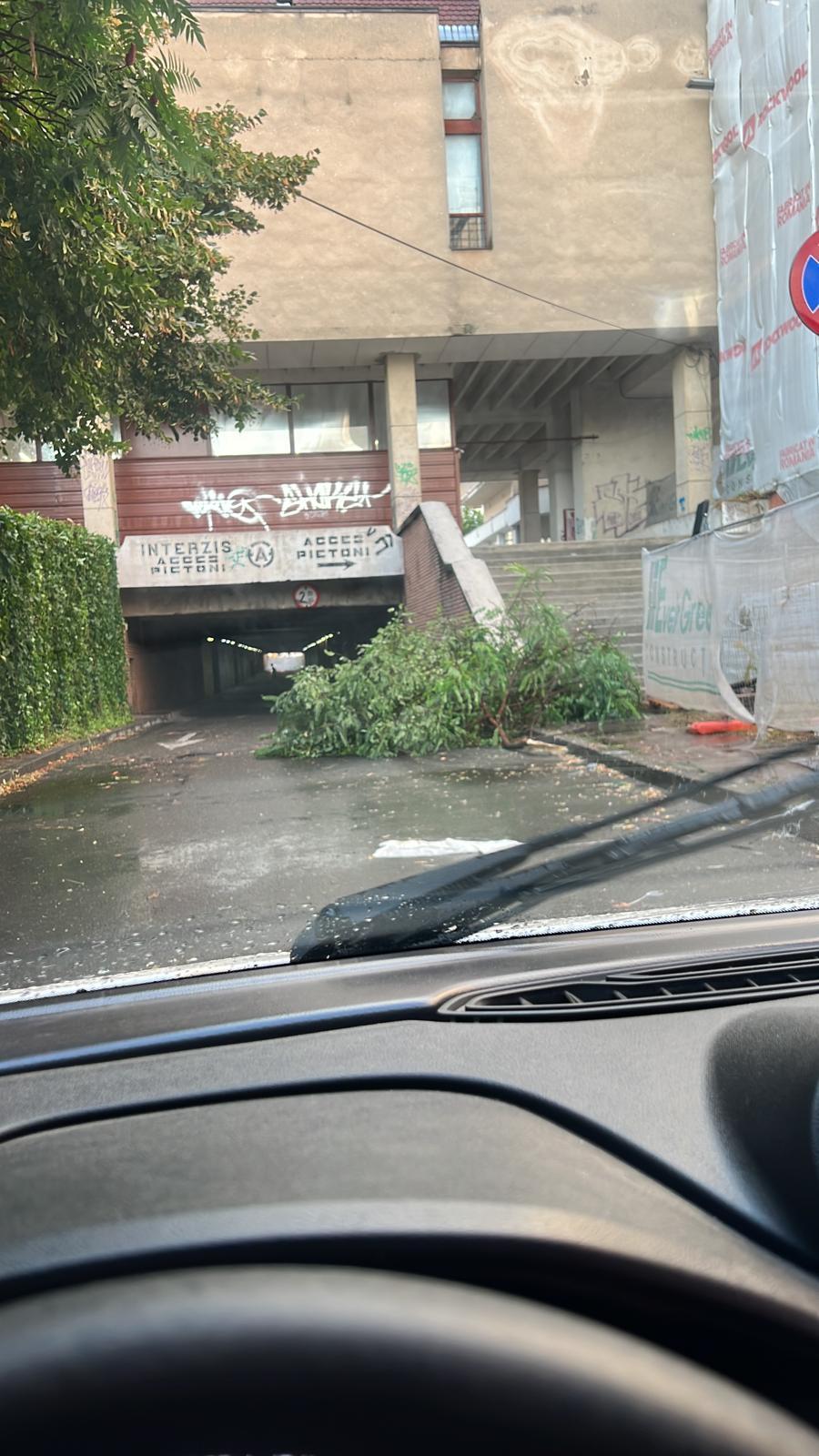 Vijeliile au făcut prăpăd în mai multe zone din ţară. Bucureştiul, blocat din cauza inundaţiilor 855479