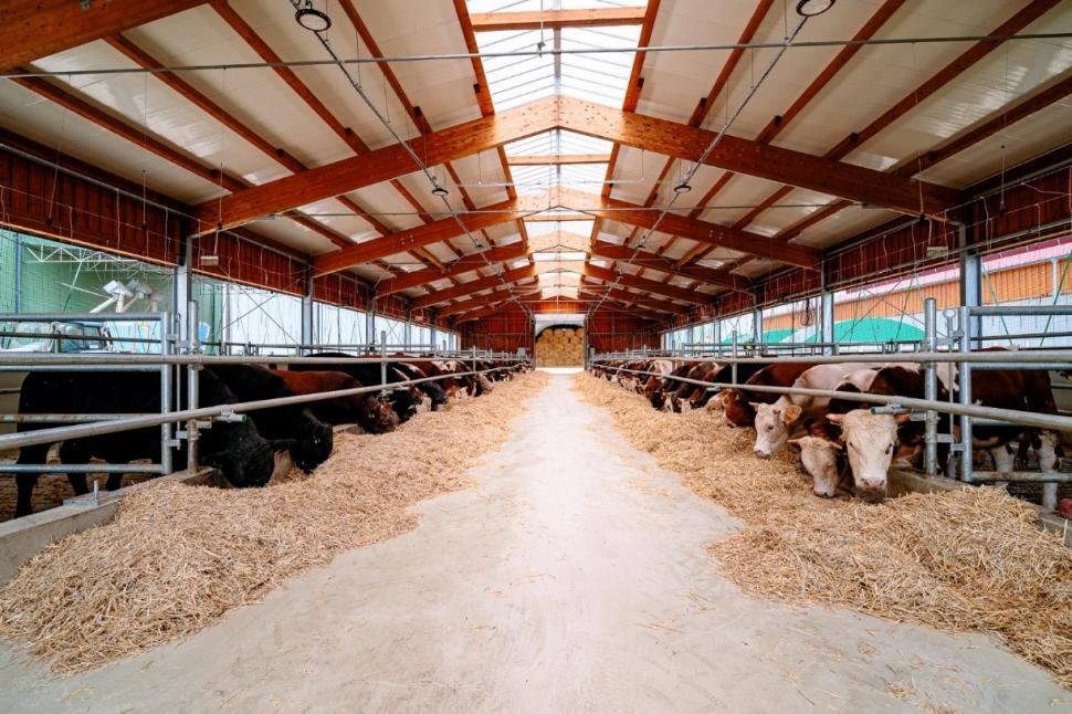 Grupul Las Vegas vine în ajutorul familiilor rămase pe drumuri, în urma inundațiilor 855875