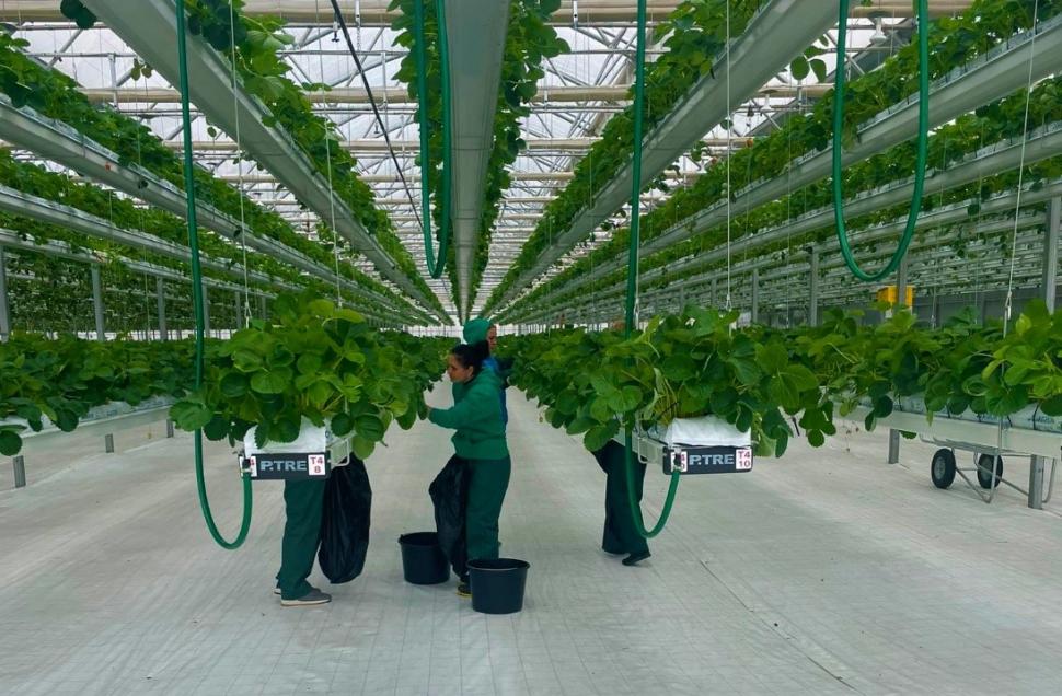 Grupul Las Vegas vine în ajutorul familiilor rămase pe drumuri, în urma inundațiilor 855876