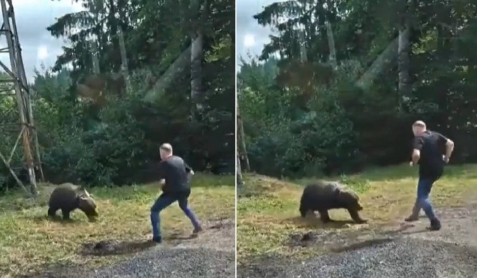 Turist polonez, la un pas să fie rănit de un urs pe care voia să-l fotografieze, pe Transfăgărășan