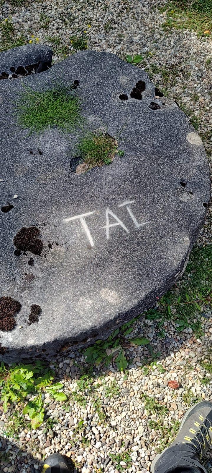 Ei sunt vandalii prinși în timp ce scrijeleau monumente din Cetatea Sarmizegetusa Regia 856317