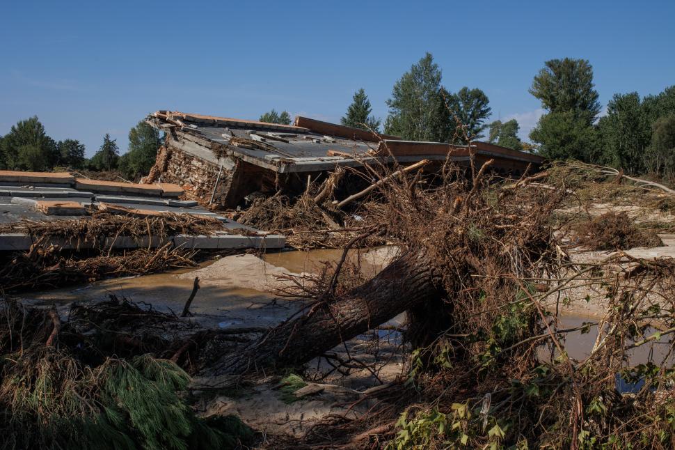 Un băiețel de 10 ani a stat o noapte întreagă într-un copac, pentru a se salva de inundațiile din Spania. Tatăl copilului, de negăsit 856553