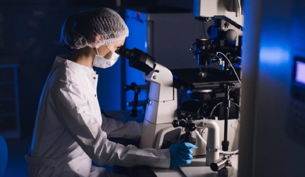 Celulele stem, folosite cu succes de cercetători pentru a crește în laborator un model de embrion uman: "Este un fenomen uimitor"
