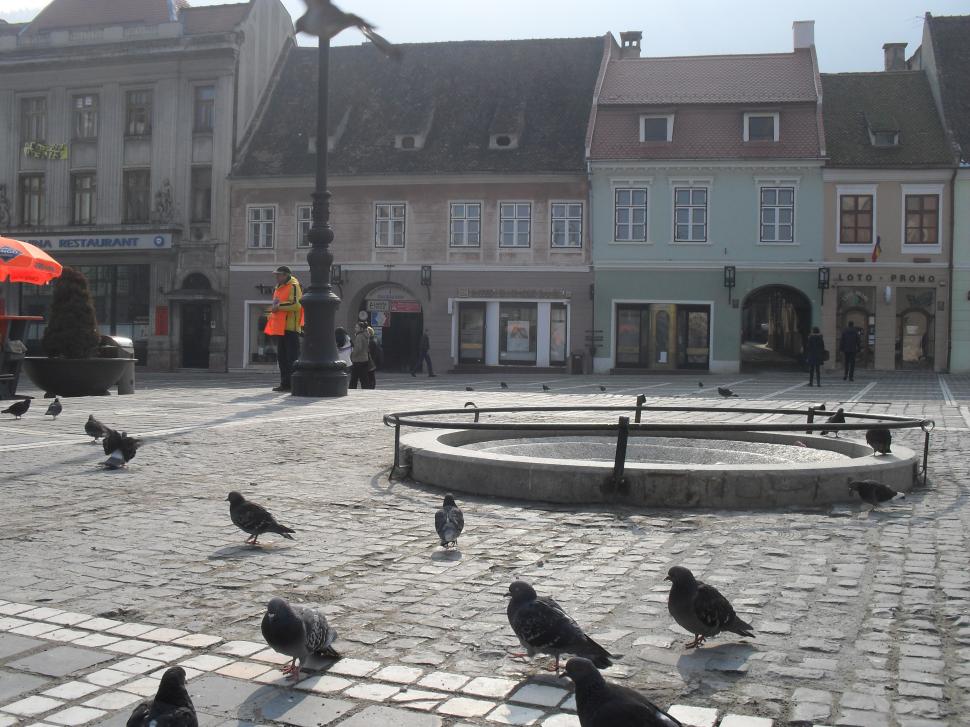 "Cetăţuia între lumi" - evenimentul care redeschide porțile cetății Brașovului 856925