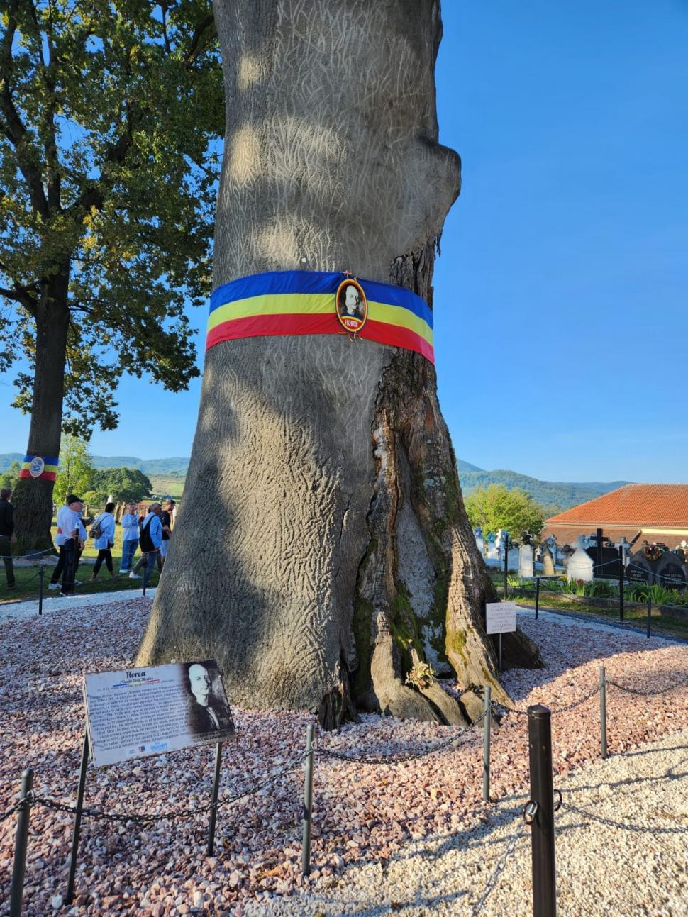 Nicolae Ciucă: "Apartenența țării la structurile euro-atlantice este destinul nostru istoric, iar cei ce spun altceva sunt falși patrioți" 857368