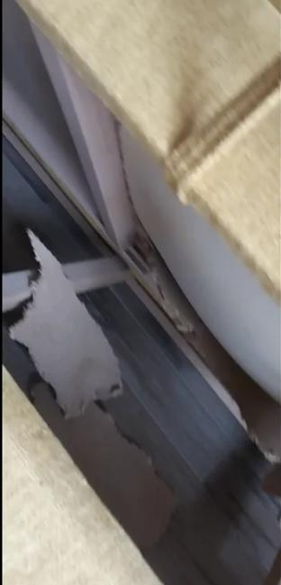 Mihai Trăistariu, păgubit de turiştii care i-au închiriat garsonierele de pe litoral: "Când aud de reparații, îmi pun mâinile în cap!” 858108