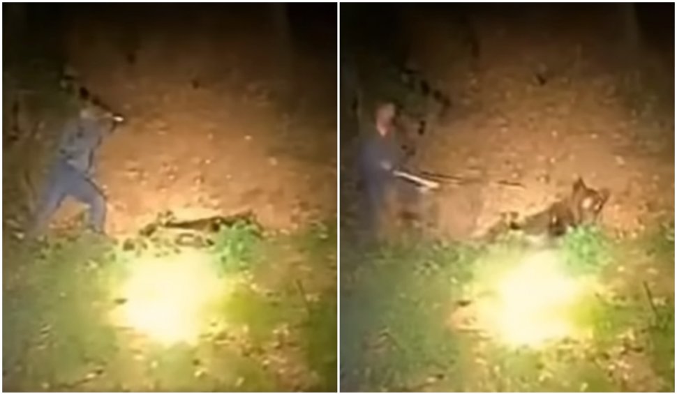 "Fugi! Fugi, că mă omoară!": Un bărbat a atacat cu bâta un urs care dormea, noaptea în pădure, în timp ce prietenul lui filma